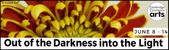 Out of the darkness into the light, by Cambridge Community Arts