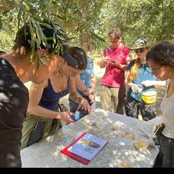 Processing and photographing pottery at the end of a tract