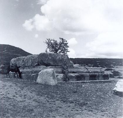 black and white photograph of a donkey next to a ruined building, with a man seated