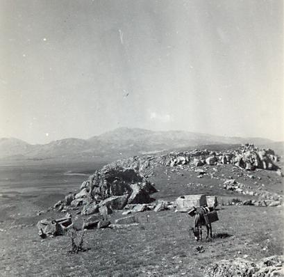 black and white photograph of a donkey grazing in an archaeological landscape with mountains