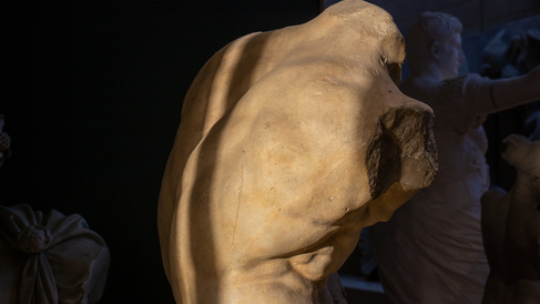 sunlight and shadow falls on the muscled back of the Belvedere torso, a statue of seated man without arms or head
