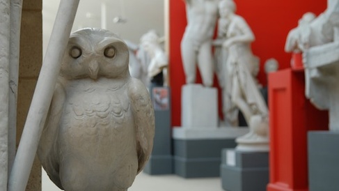Athena's owl, with statues behind against a red wall