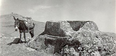 black and white photograph of a donkey standing next to a an archaeological feature