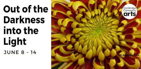 Out of the darkness, into the light: yellow flower on red