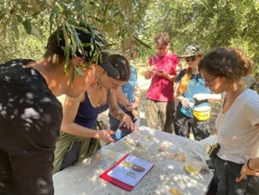 Processing and photographing pottery at the end of a tract