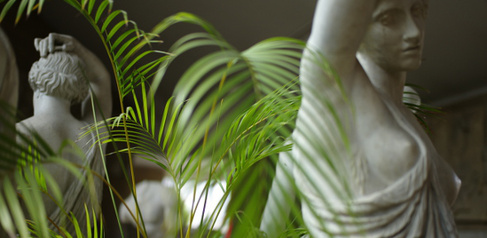 Statues&Plant