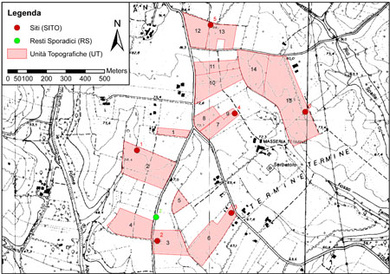 Survey 2010