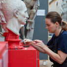 Donate carousel (conservation in action)