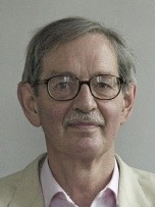 Professor Anthony Snodgrass
