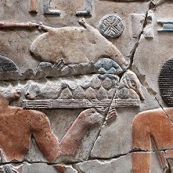 Egyptian hieroglyphs