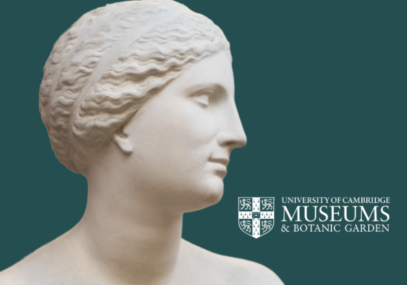 sculpted head of Athena, looking to right with hair tied up