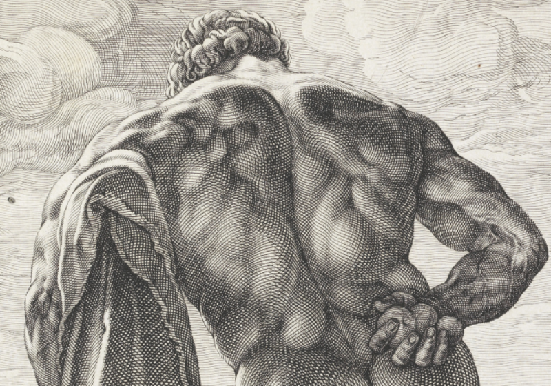 engraving of the very muscled back of hercules, holding the apples of the hesperides behind his back