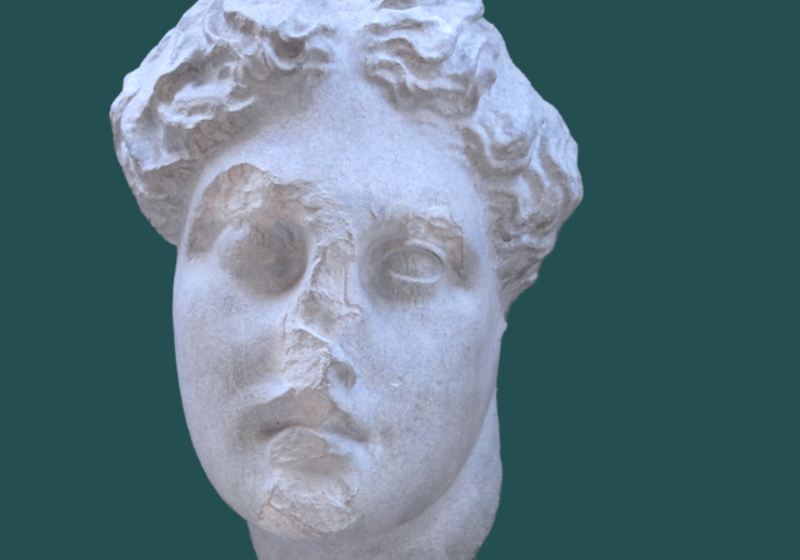head of a Apollo, a young man with wavy hair and a damaged face