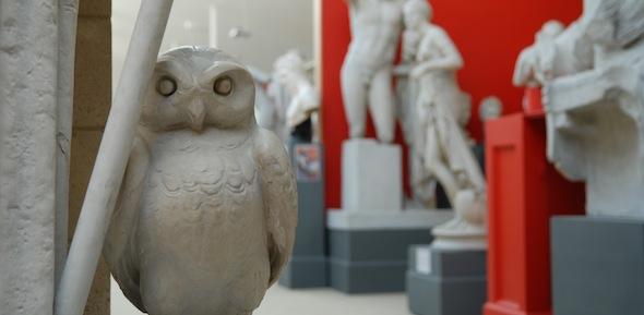 Athena's owl, with statues behind against a red wall