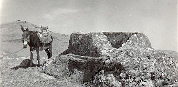 black and white photograph of a donkey standing next to a an archaeological feature