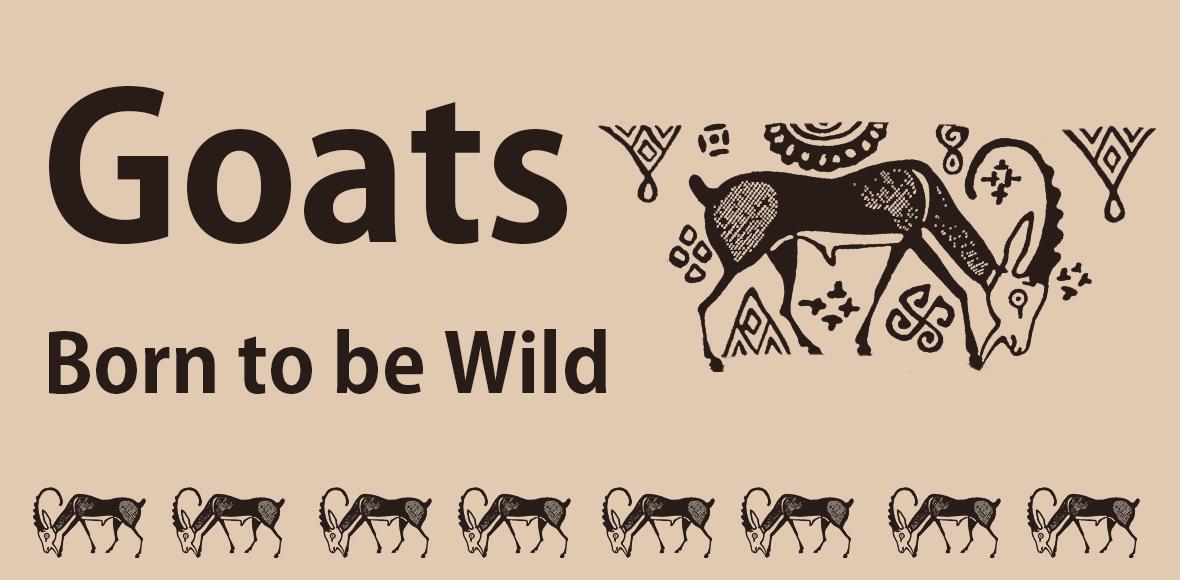 Goats: born to be wild, small images of goats