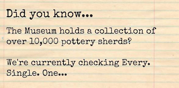 Did you know the Museum holds a collection of 10,000+ sherds?