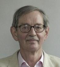 Professor Anthony  Snodgrass