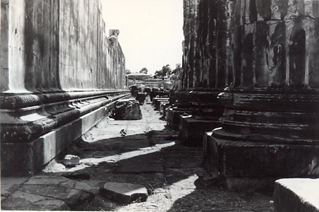 Unidentified colonnade, 1950-60 (D5.11)